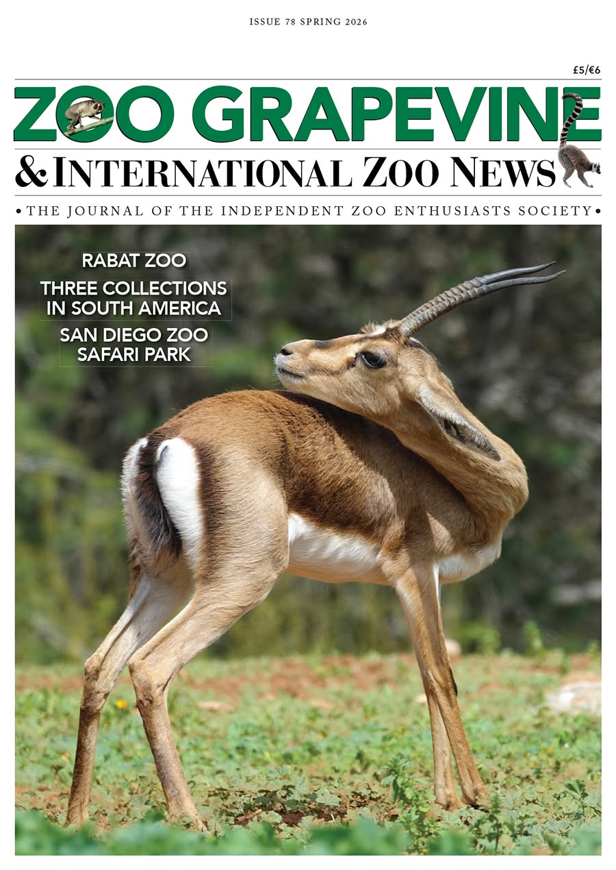 Zoo Grapevine and International Zoo News magazine cover